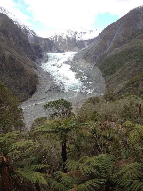 Fox Glacier