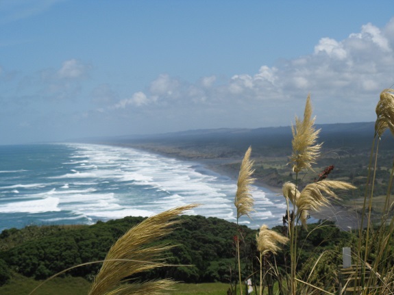 Muruwai Beach from Gannet Colony lookout