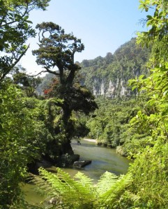 Porarari River One