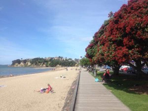 St Heliers Bay waterfront with Pohutukawa trees in foreground..jpg 2