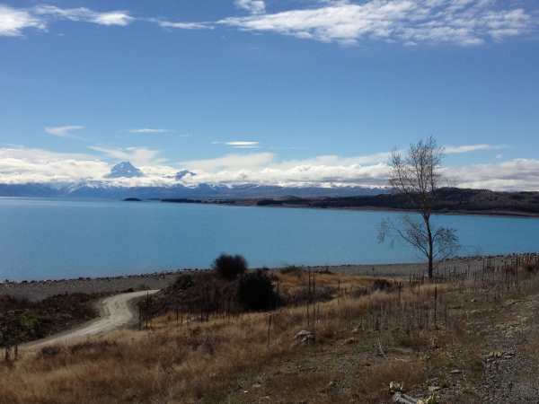 mt cook